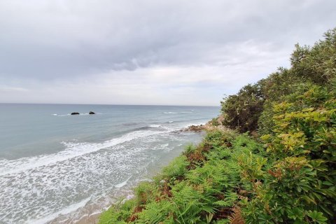 4444m² Land en Corfu, Greece No. 107996 12