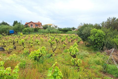 4444m² Land en Corfu, Greece No. 107996 9