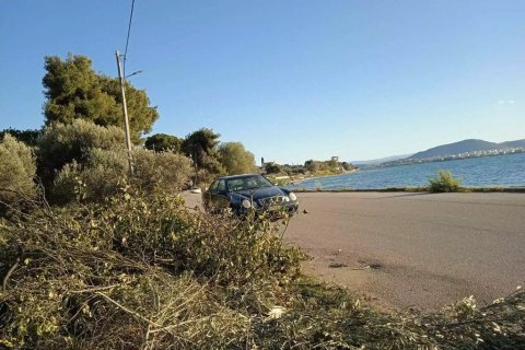 2750m² Land in Chalcis, Greece No. 54571 6