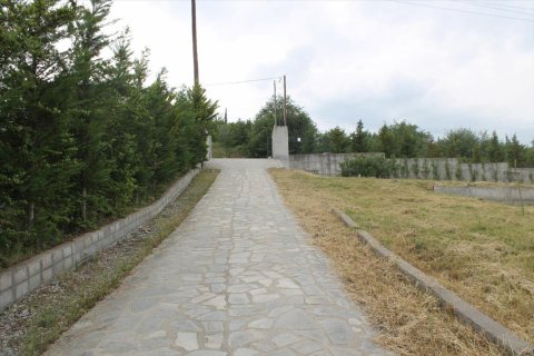 5 bedrooms House in Thermi, Greece No. 58139 2