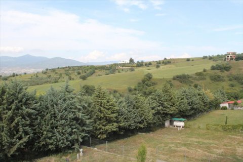 5 bedrooms House in Thermi, Greece No. 58139 5