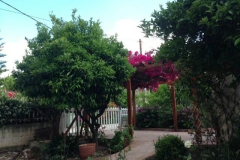 Дом с 6 комнатами в Ахайя, Греция №108138 21