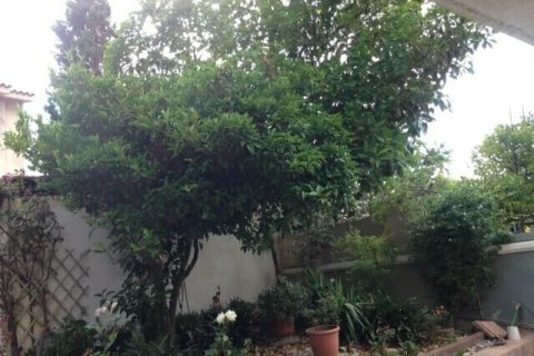 Дом с 6 комнатами в Ахайя, Греция №108138 22