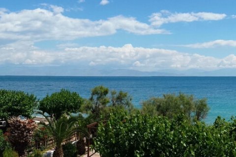 Дом с 6 комнатами в Ахайя, Греция №108138 12