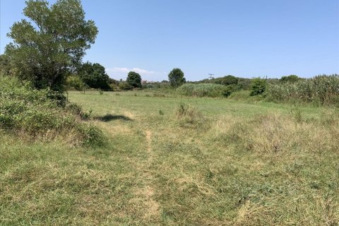6312m² Land in Chalkidiki, Greece No. 109566 3