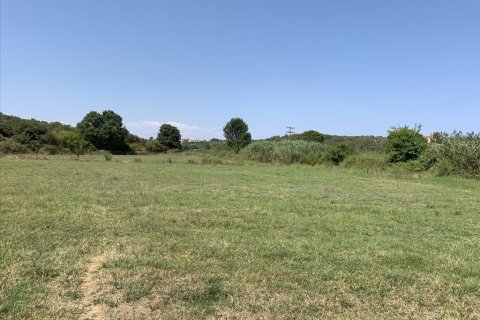 6312m² Land in Chalkidiki, Greece No. 109566 2