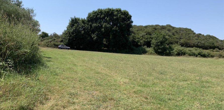 6312m² Land in Chalkidiki, Greece No. 109566