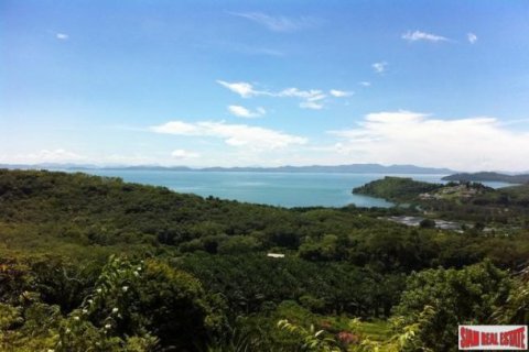 14400m² Land in Phuket, Thailand No. 95690 9