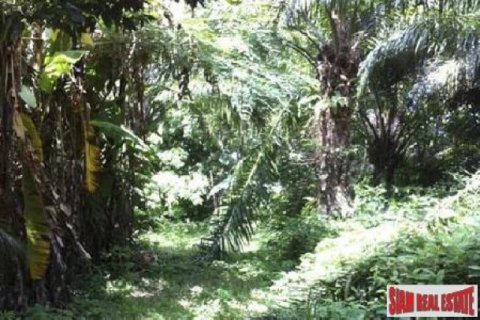 14400m² Land in Phuket, Thailand No. 95690 5