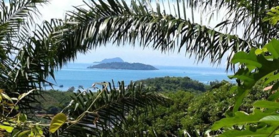 14400m² Land on the Phuket, Thailand No. 95690
