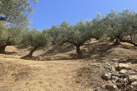 Land in Zakynthos, Greece No. 82959 2