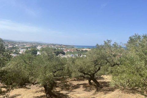 Land in Zakynthos, Greece No. 82959 6