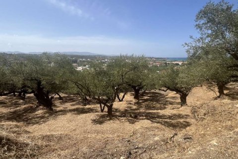 Land in Zakynthos, Greece No. 82959 12