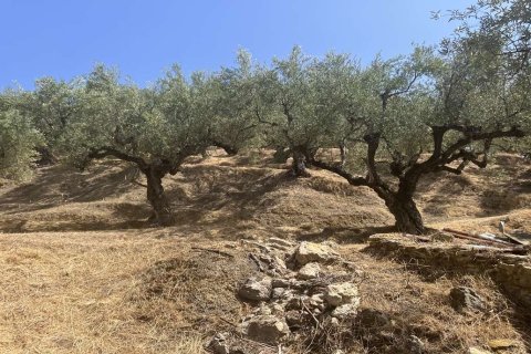 Land in Zakynthos, Greece No. 82959 15