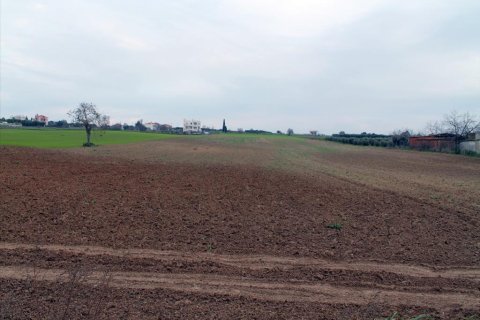 26607m² Land à Epanomi, Greece No. 107718 4