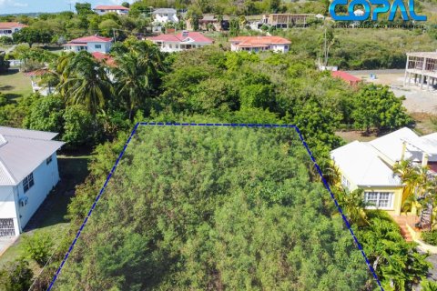 895.59m² Land in Lance Aux Epines, Grenada No. 113799 4