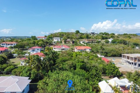 895.59m² Land in Lance Aux Epines, Grenada No. 113799 5