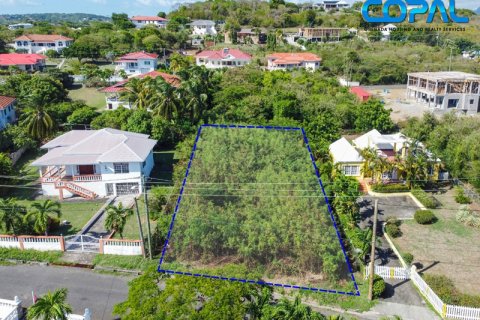 895.59m² Land in Lance Aux Epines, Grenada No. 113799 3