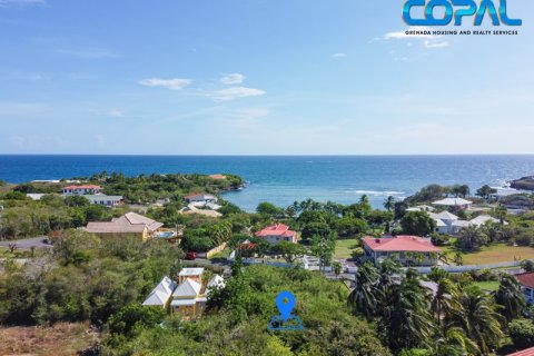 895.59m² Land in Lance Aux Epines, Grenada No. 113799 7