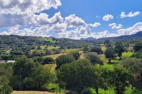 325m² Villa in Black River, Mauritius No. 86622 5