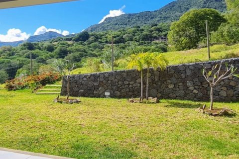 325m² Villa in Black River, Mauritius No. 86622 6