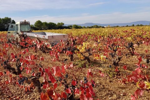 Дом 1000м² в Экс-ан-Прованс, Франция №68912 3