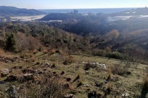 5 habitaciones Land en Chau Lang, Vietnam No. 12020 1