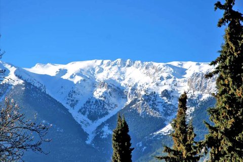 Дом с 3 спальнями в Беотия, Греция №59393 1