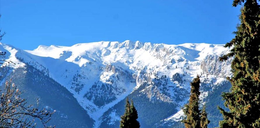 Дом с 3 спальнями в Беотия, Греция №59393