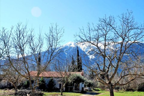 Дом с 3 спальнями в Беотия, Греция №59393 5