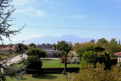 8 bedrooms House in Pieria, Greece No. 109082 19