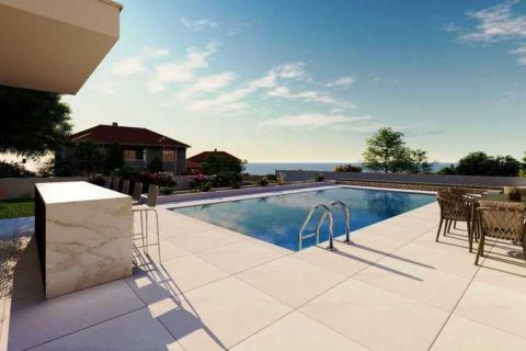 Дом с 4 спальнями в Пейя, Кипр №39855 8