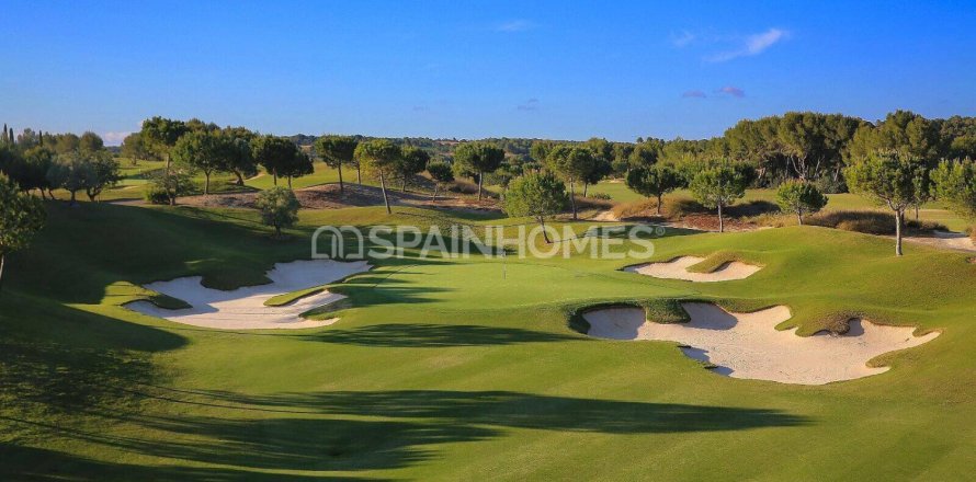 4 bedrooms Villa in San Miguel de Salinas, Spain No. 123927