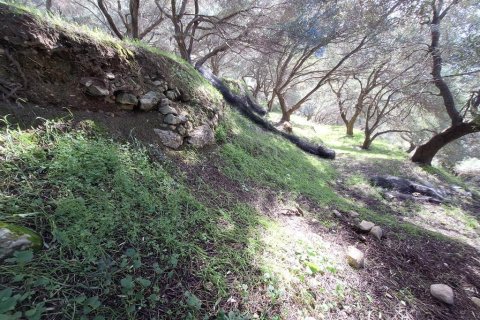 Земельный участок 5565м² в Керкира, Греция №123363 7