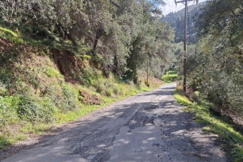 Земельный участок 5565м² в Керкира, Греция №123363 14