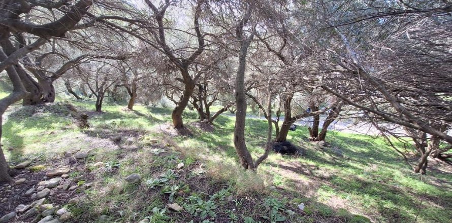 Земельный участок 5565м² в Керкира, Греция №123363