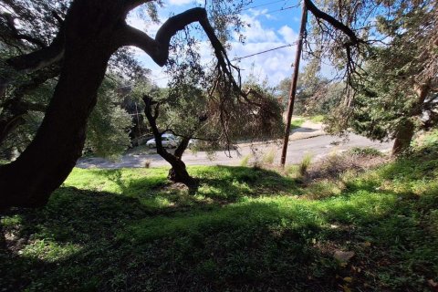 Земельный участок 5565м² в Керкира, Греция №123363 10