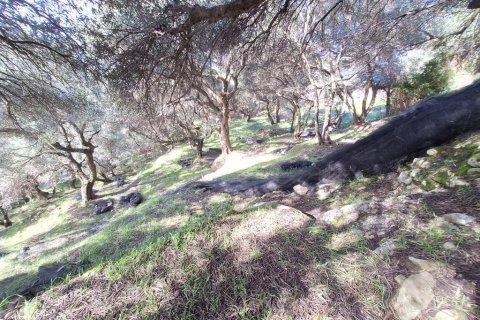 Земельный участок 5565м² в Керкира, Греция №123363 6