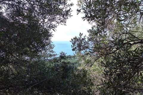 Земельный участок 5565м² в Керкира, Греция №123363 2