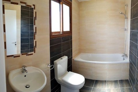 8 bedrooms Villa in Paphos, Cyprus No. 106090 12