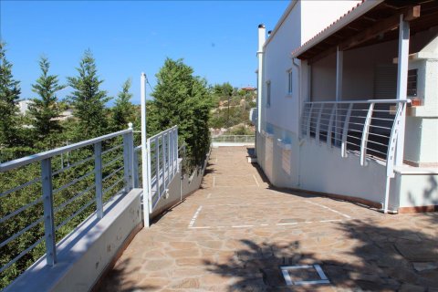 6 bedrooms Villa in Phthiotis, Greece No. 58845 7