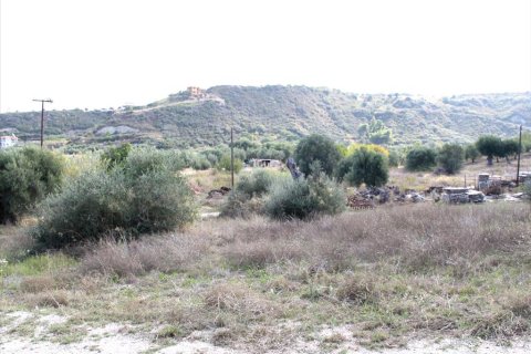 3503m² Land in Chalkidiki, Greece No. 60574 9