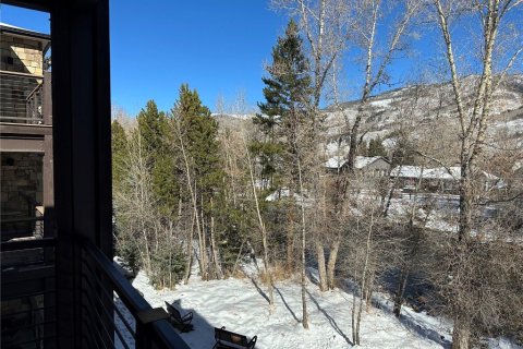 2 bedrooms Condo  in Silverthorne, USA No. 71300 28