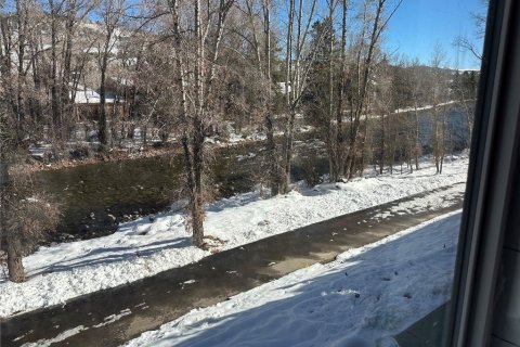 2 bedrooms Condo  in Silverthorne, USA No. 71300 27