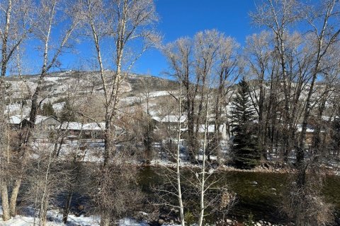 2 bedrooms Condo  in Silverthorne, USA No. 71300 4