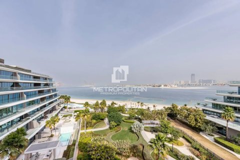 5 chambres Appartement à Khuc Xuyen, Vietnam No. 93808 5