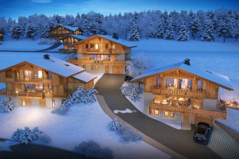 Дом с 4 спальнями в Пра-сюр-Арли, Франция №99596 2