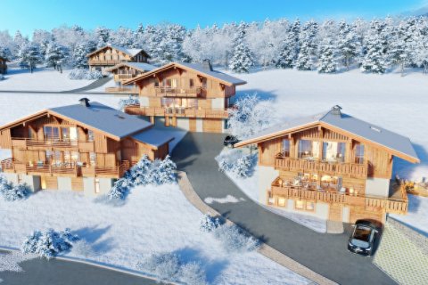 Дом с 4 спальнями в Пра-сюр-Арли, Франция №99596 4