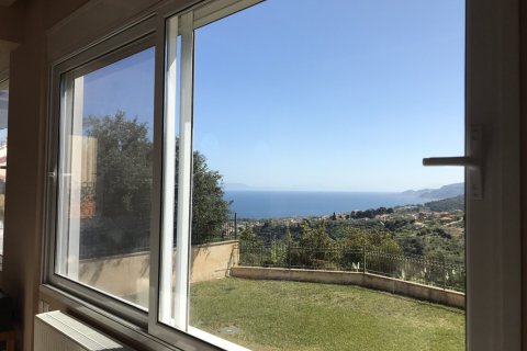 10 rooms Villa in Achaea, Greece No. 55898 25