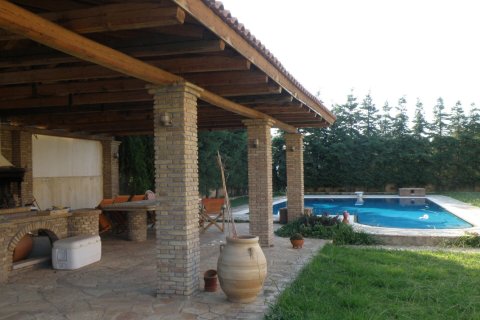 10 rooms Villa in Achaea, Greece No. 55898 28